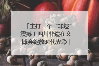 主打一个“非遗”震撼！四川非遗在文博会绽放时代光彩｜文博向“新”