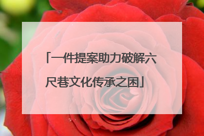 一件提案助力破解六尺巷文化传承之困