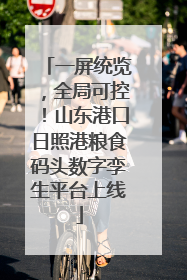 一屏统览，全局可控！山东港口日照港粮食码头数字孪生平台上线
