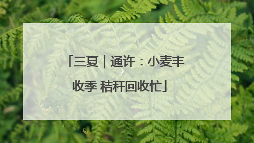 三夏｜通许：小麦丰收季 秸秆回收忙