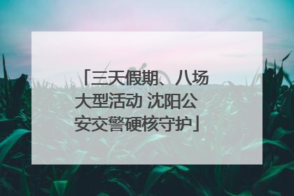三天假期、八场大型活动 沈阳公安交警硬核守护