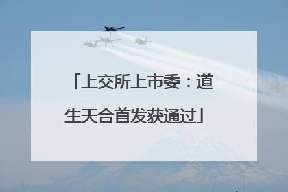 上交所上市委：道生天合首发获通过