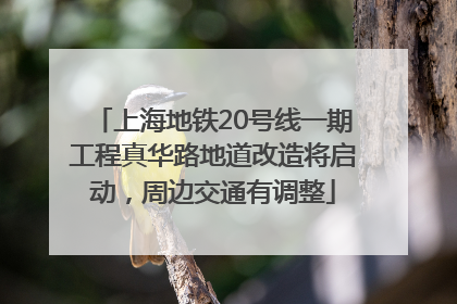 上海地铁20号线一期工程真华路地道改造将启动，周边交通有调整