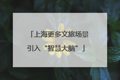 上海更多文旅场景引入“智慧大脑”