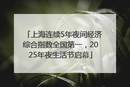 上海连续5年夜间经济综合指数全国第一，2025年夜生活节启幕