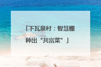下瓦泉村：智慧棚种出“共富菜”