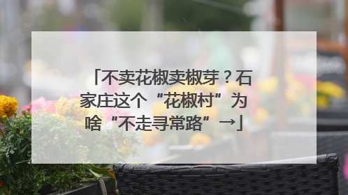 不卖花椒卖椒芽？石家庄这个“花椒村”为啥“不走寻常路”→