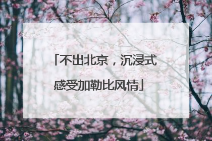 不出北京，沉浸式感受加勒比风情