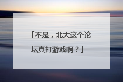 不是，北大这个论坛真打游戏啊？