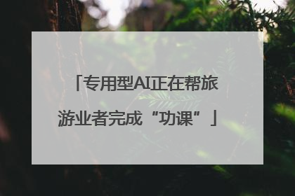 专用型AI正在帮旅游业者完成“功课”