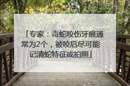 专家：毒蛇咬伤牙痕通常为2个，被咬后尽可能记清蛇特征或拍照