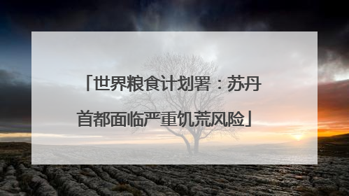 世界粮食计划署：苏丹首都面临严重饥荒风险