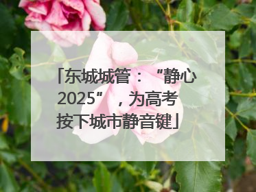 东城城管：“静心2025”，为高考按下城市静音键