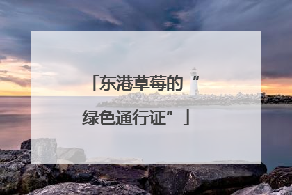 东港草莓的“绿色通行证”