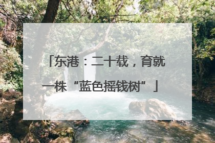 东港：二十载，育就一株“蓝色摇钱树”