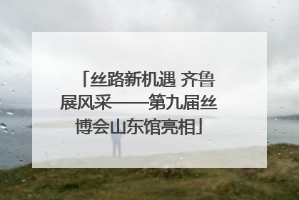 丝路新机遇 齐鲁展风采——第九届丝博会山东馆亮相