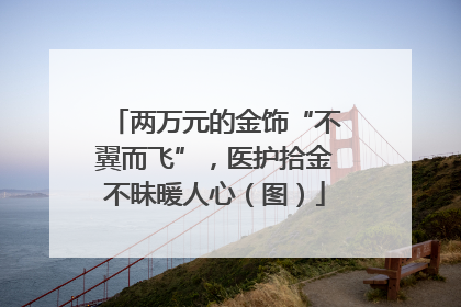 两万元的金饰“不翼而飞”，医护拾金不昧暖人心（图）