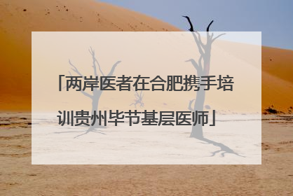两岸医者在合肥携手培训贵州毕节基层医师