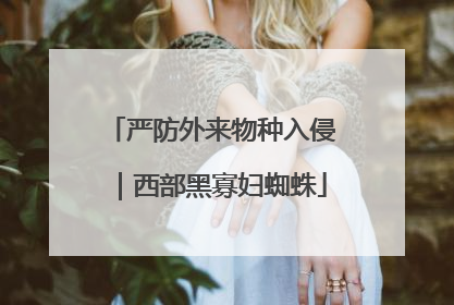 严防外来物种入侵｜西部黑寡妇蜘蛛