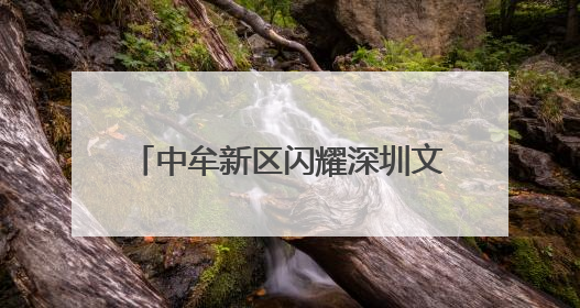 中牟新区闪耀深圳文博会：“文旅+时尚”融合展现新魅力