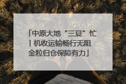 中原大地“三夏”忙丨机收运输畅行无阻 金粒归仓保障有力