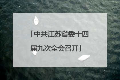 中共江苏省委十四届九次全会召开
