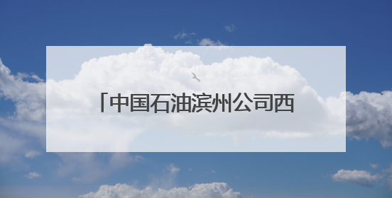 中国石油滨州公司西城党支部开展“端午话清廉”主题党日活动