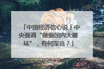 中国经济信心说丨中央强调“做强国内大循环”，有何深意？
