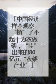 中国经济样本观察·“镇”了不起｜为衣做架，“挂”出来的80亿元“衣架产业”
