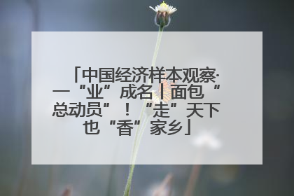 中国经济样本观察·一“业”成名丨面包“总动员”！“走”天下也“香”家乡