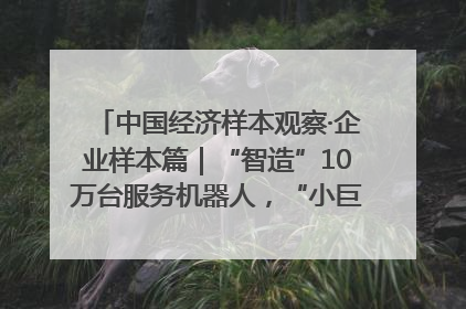 中国经济样本观察·企业样本篇｜“智造”10万台服务机器人，“小巨人”擎朗有大梦想