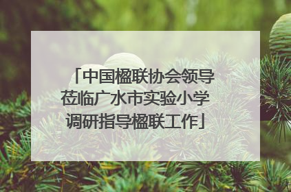 中国楹联协会领导莅临广水市实验小学调研指导楹联工作