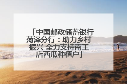 中国邮政储蓄银行菏泽分行：助力乡村振兴 全力支持南王店西瓜种植户