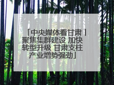 中央媒体看甘肃丨聚焦集群建设 加快转型升级 甘肃支柱产业增势强劲
