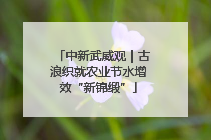 中新武威观｜古浪织就农业节水增效“新锦缎”