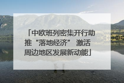 中欧班列密集开行助推“落地经济” 激活周边地区发展新动能