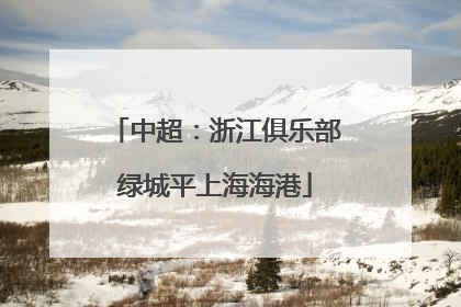 中超：浙江俱乐部绿城平上海海港