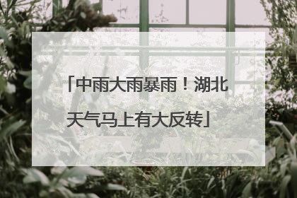 中雨大雨暴雨！湖北天气马上有大反转