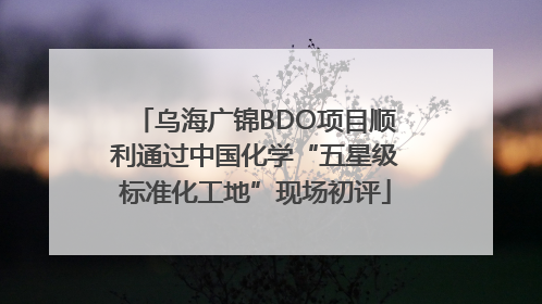 乌海广锦BDO项目顺利通过中国化学“五星级标准化工地”现场初评