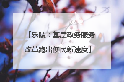 乐陵：基层政务服务改革跑出便民新速度