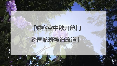 乘客空中欲开舱门 跨国航班被迫改道