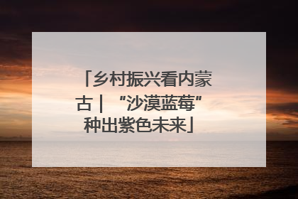 乡村振兴看内蒙古｜“沙漠蓝莓”种出紫色未来