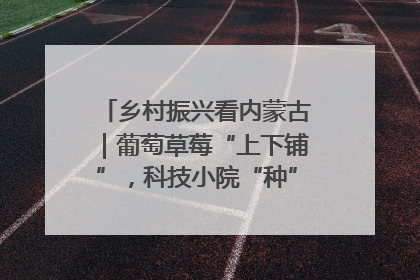 乡村振兴看内蒙古｜葡萄草莓“上下铺”，科技小院“种”出三倍效益
