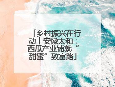 乡村振兴在行动丨安徽太和：西瓜产业铺就“甜蜜”致富路