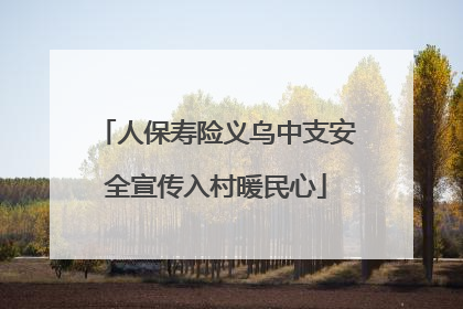 人保寿险义乌中支安全宣传入村暖民心