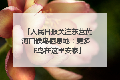 人民日报关注东营黄河口候鸟栖息地：更多飞鸟在这里安家