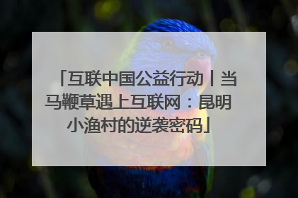互联中国公益行动丨当马鞭草遇上互联网：昆明小渔村的逆袭密码