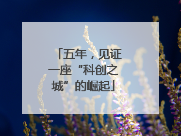 五年，见证一座“科创之城”的崛起