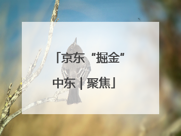 京东“掘金”中东｜聚焦