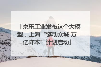 京东工业发布这个大模型，上海“链动众城 万亿降本”计划启动